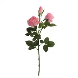 Rosas Gio Home Rosado 3 Und