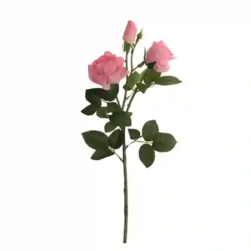 Rosas Gio Home Rosado 3 Und
