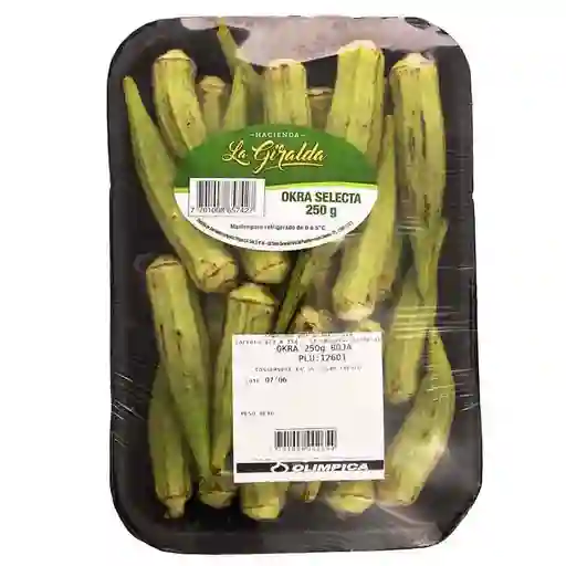 La Giralda Okra Selecta