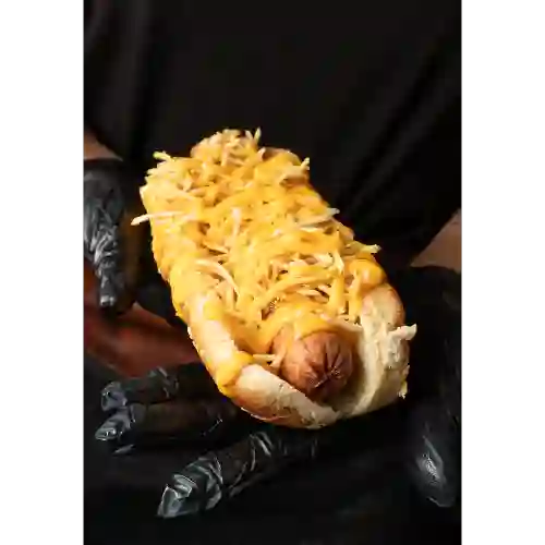 Perro Americano