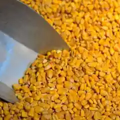 Maíz Cuba Amarillo a Granel