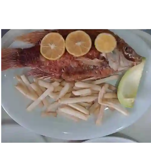 Mojarra Dorada