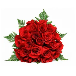 Arreglo Floral Rosas Rojas Amor X 24