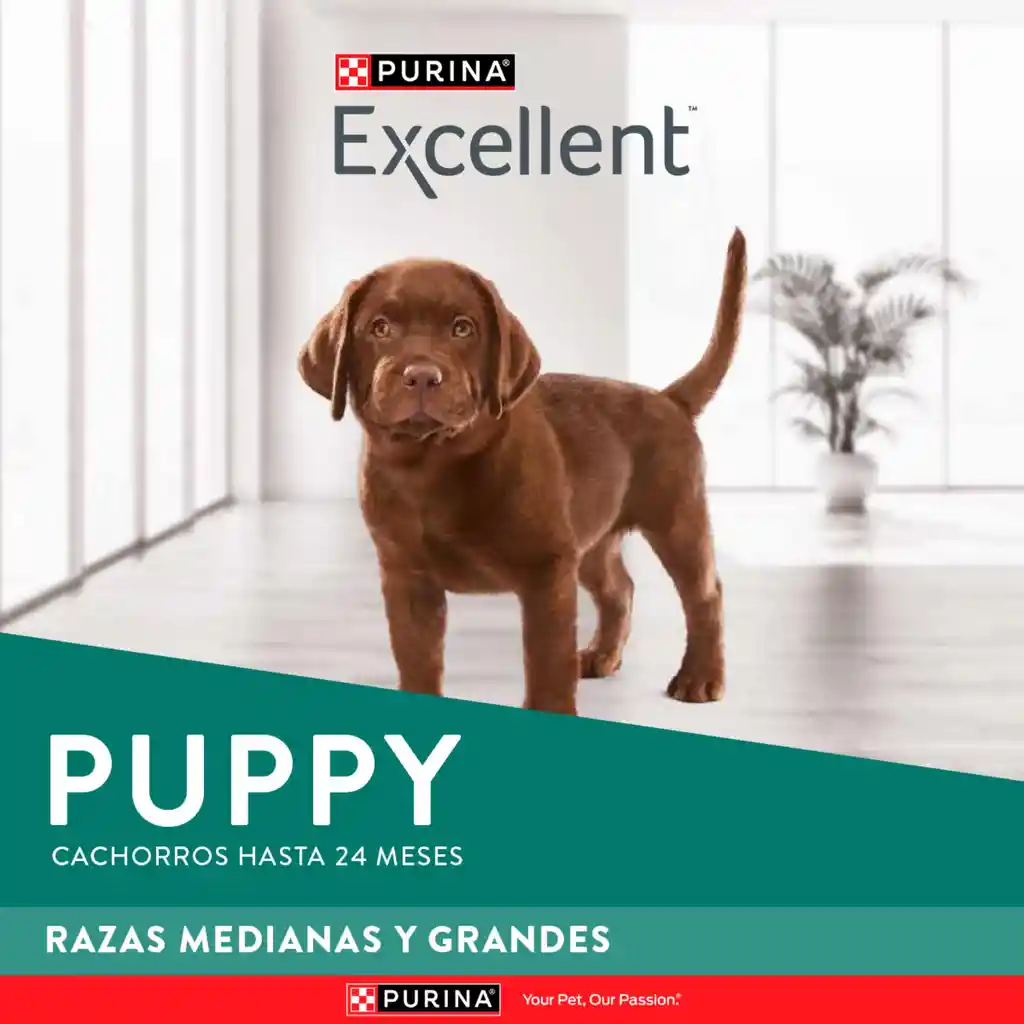 Comida para perros EXCELLENT PUPPY Razas Medianas y Grandes x 17 kg