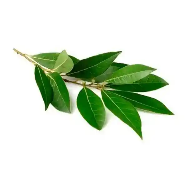 Naturomar Laurel Fresco