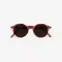 Izipizi Gafas Sun D Wild Bright +0.00