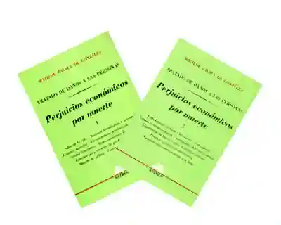 Tratado de Daños a Las Personas - Matilde Zavala de González