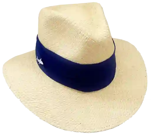 Sombrero Claro Cinta Ancha Azul Oscura T. 6 Salvador Beachwear