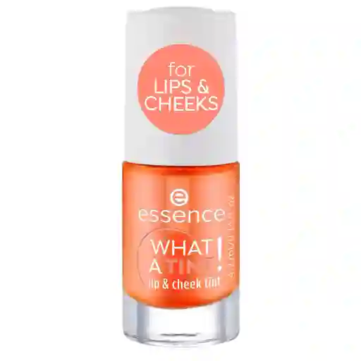 Tinta Labial Essence What a Tint No. 3 X