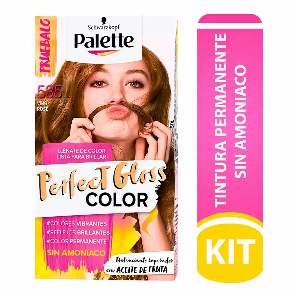 Palette Perfect Gloss Tinte Permanente