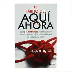 Libro el Habito Del Aquí y Ahora - Hugh g Birne