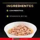 Comida húmeda para perros adultos sabor apollo Purina Pro Plan x 100gr