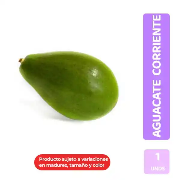 Aguacate Corriente Unidad