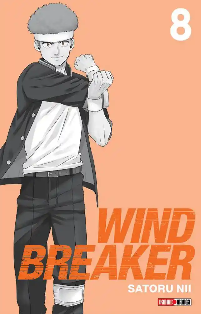 Wind Breaker N.08 Panini Sin Ref
