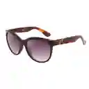 Gafas Sol Foster Grant Fg 23 462 Blk
