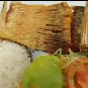 Bocachico