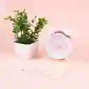 Reloj Despertador de Doble Campana Rosa Miniso