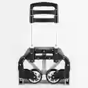 Carro Plegable Hasta 80 Kg Cpa01
