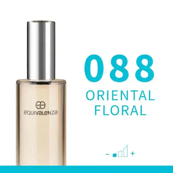 Equivalenza Perfume Oriental Floral 088