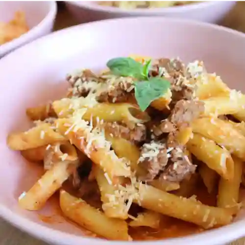 Bolognesa