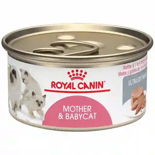 3 x Royal Canin Alimento Humedo Para Gato Mother y Baby Cat