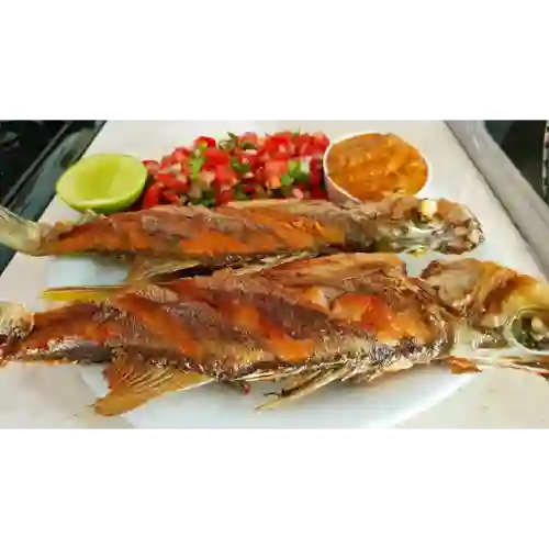 Robalo Frito