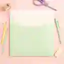 Carpeta Porta Documentos Tipo Sobre Serie Lime Miniso