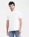 Camiseta Beach Graphic Crudo Prístino Claro T. S Chevignon