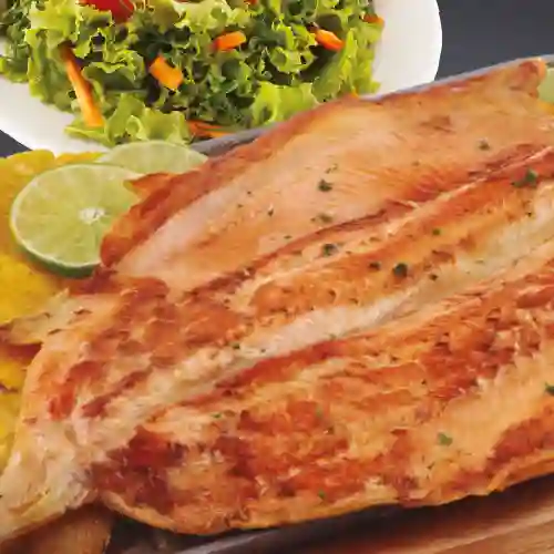 Trucha a la Plancha