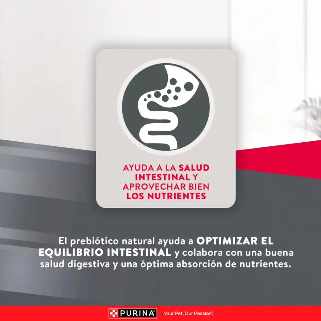 Comida para perros EXCELLENT ADULT Razas Pequeñas x 3 kg