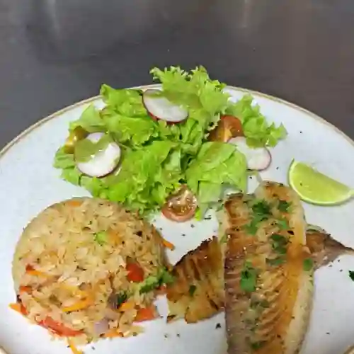 Filete de Tilapia