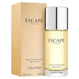 Perfume Calvin Klein Escape Edt 100ml For Men