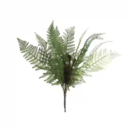 Hoja de Higuera Gio Home