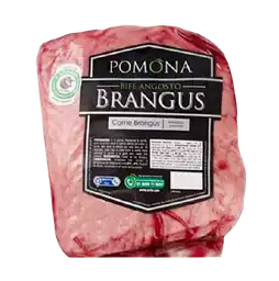 Brangus Pomona