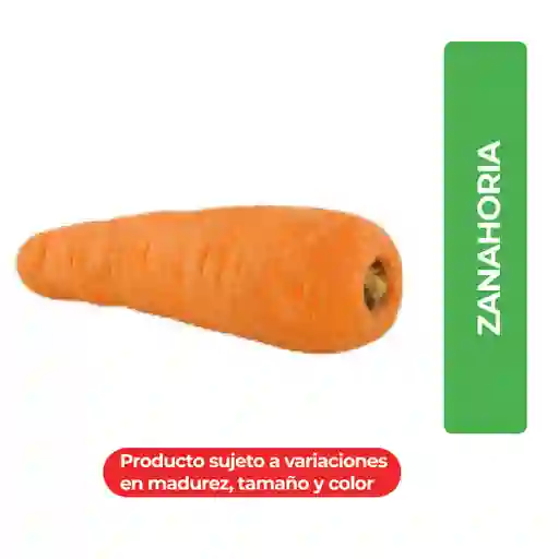 Zanahoria