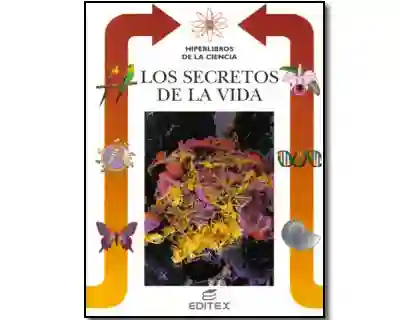 Vida Los Secretos De La Vol. 9