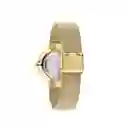 Tommy Hilfiger Reloj Mujer1782217