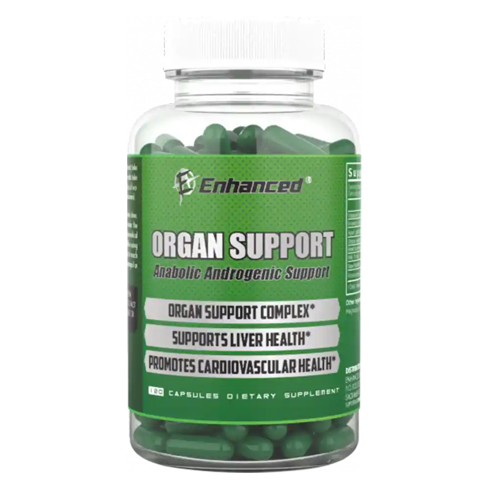 Organ Support