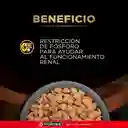 Comida para gato Purina Pro Plan Veterinary Diets NF Enfermedad Renal Etapa Avanzada 1,5 kg