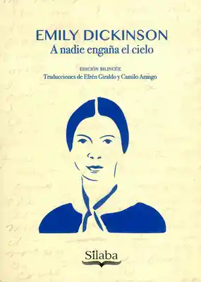 A-Gata Preta - Francisco David Delgado Montero