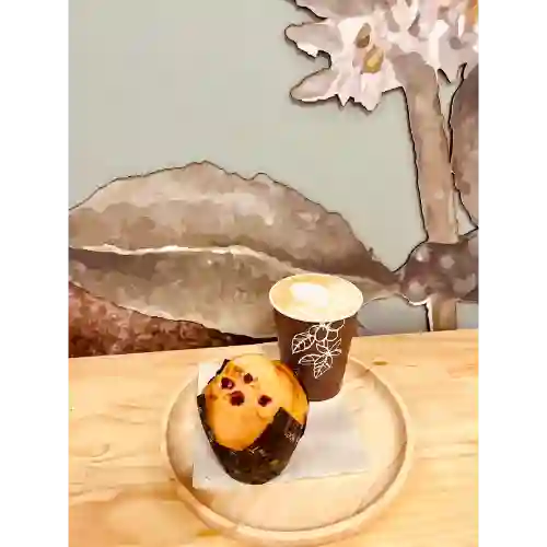 Tulipan + Cappuccino