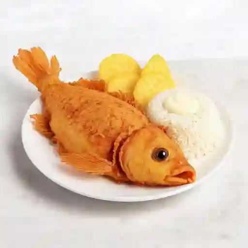 Bocachico Frito