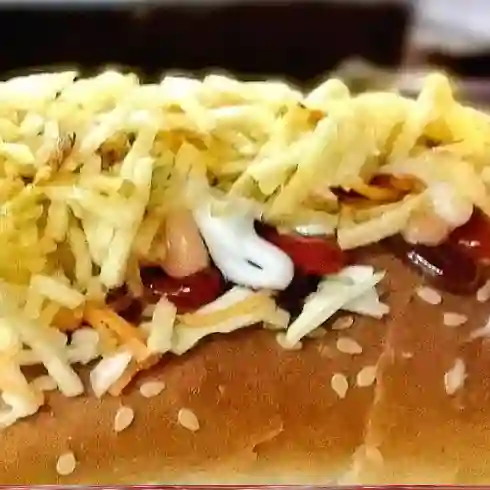 2X1 perros sin raza