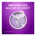 Fabuloso Limpiador Multiusos Aroma a Lavanda Líquido