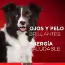 Comida húmeda para perros cachorros y adultos sabor a Carne, pollo y cordero Purina One x 85gr