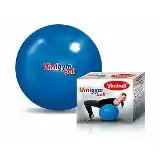 Viniball Pelota Gigante