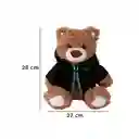 Oso Con Uniforme Slytherin Serie Harry Potter de 10 in Miniso