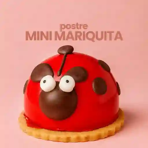 Mini mariquita