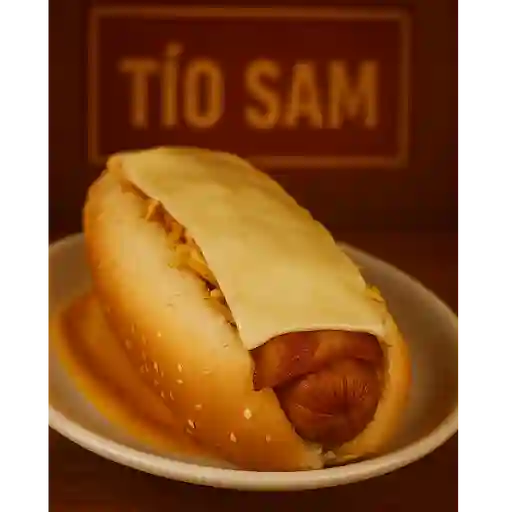 Chandozo tio sam americano
