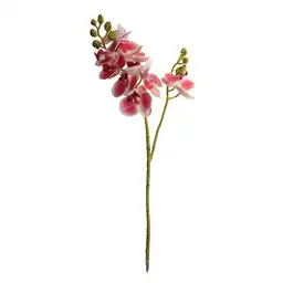 Orquidea Gio Home Mini Rosa